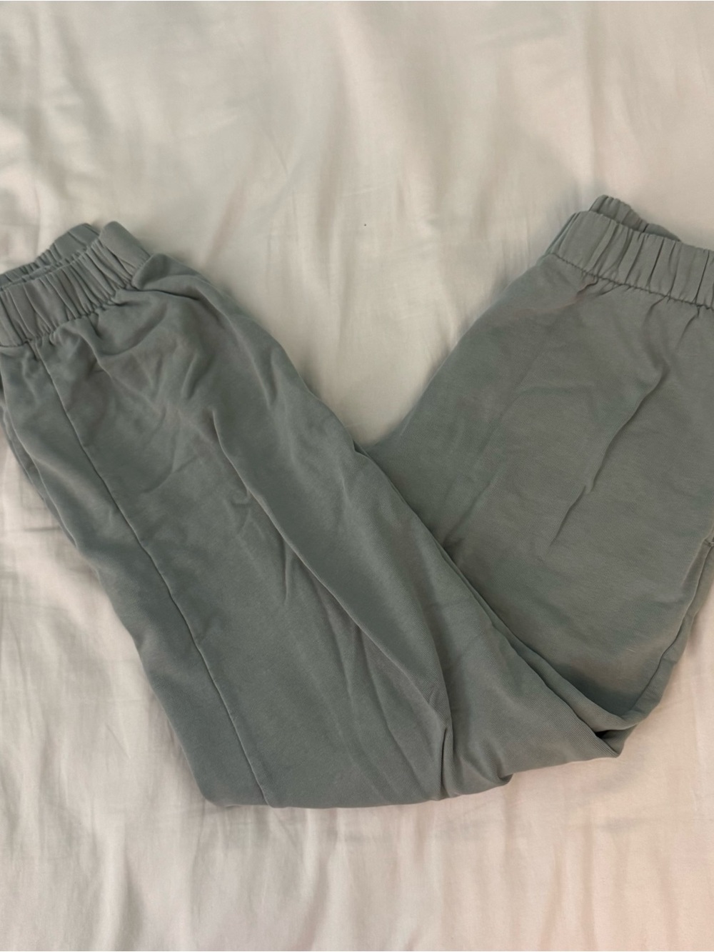 Brandy Melville John Galt Rosa light green sage sweatpants